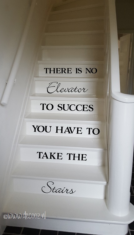 Trapsticker 'There is no Elevator to success'