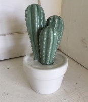 Keramiek Cactus (medium)