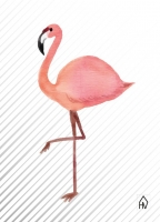 Poster Flamingo, Housevitamin