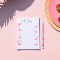 Notitieboek Flamingo Notes