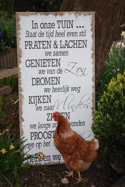 Makkelijk te lezen tetraëder accu Sticker In onze tuin 'Vlinders' - www.decooz.nl